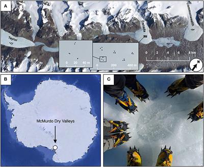 Island Biogeography of Cryoconite Hole Bacteria in Antarctica's Taylor Valley and Around the World